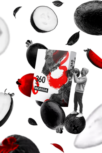 SARMA 360 – Feijoa (120 g)