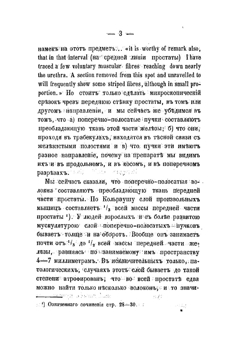 Микроскопическое исследование поперечно-полосатых мышц в предстательной железе человека | Зубовский Никифор Захарович
