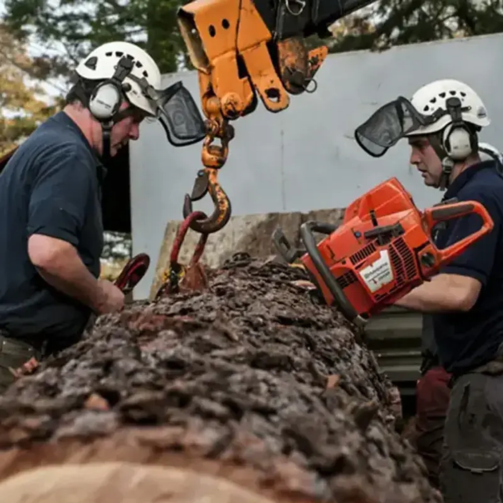 Бензопила Husqvarna 572 XP, 9667331-18