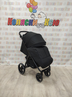 Коляска прогулочная Rant Basic Alpine Black 2025