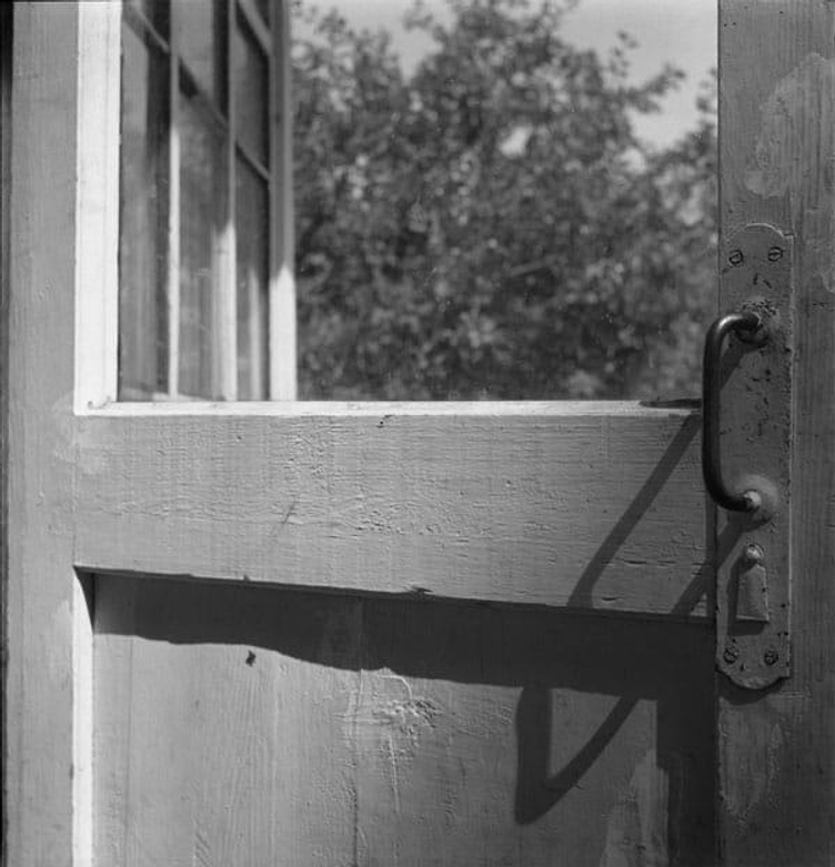 Генетика района: почему «хрущёвки» — это не уродство, а код потерянного будущего