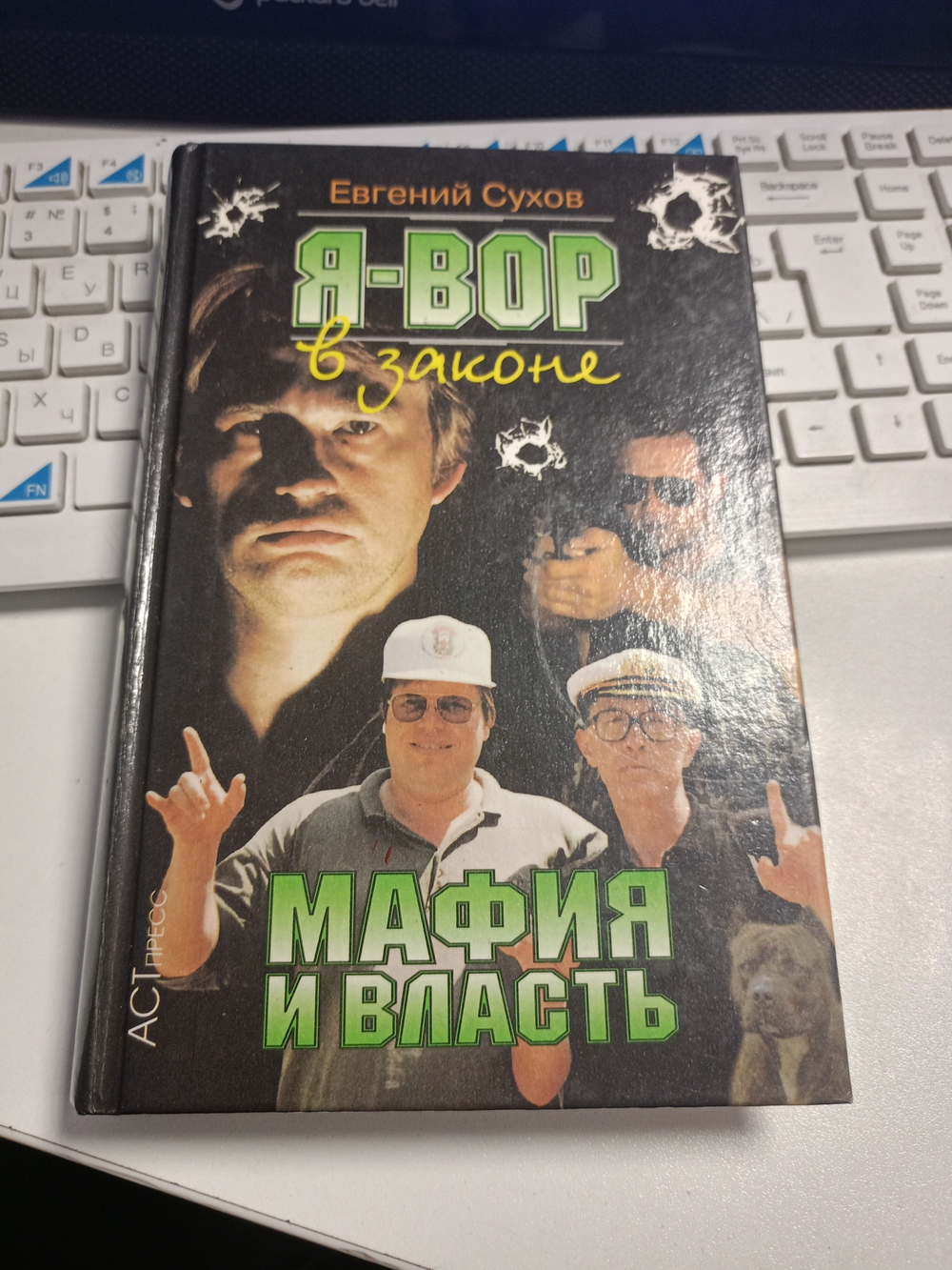 Я - вор в законе. Мафия и власть
