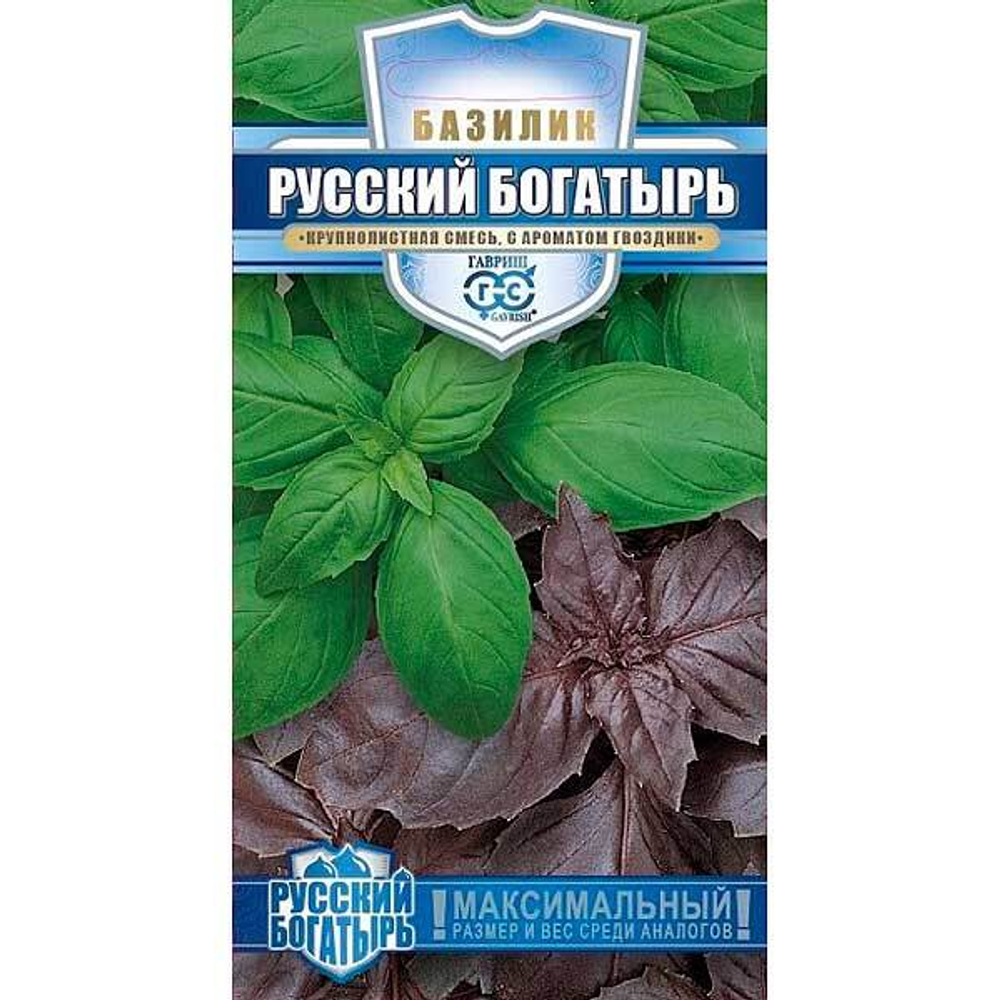 Базилик Русский богатырь
