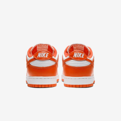 Nike Dunk Low Orange Baze