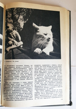 "Фотография. Документ и образ". Ан.Вартанов