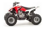Квадроцикл MOTOLAND 250S