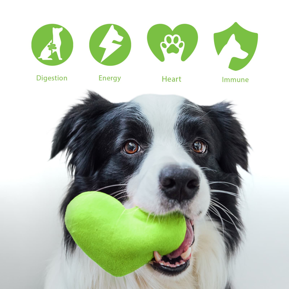 NaturesPlus, FurBaby, пробиотик для собак, 270 г (9,5 унции)