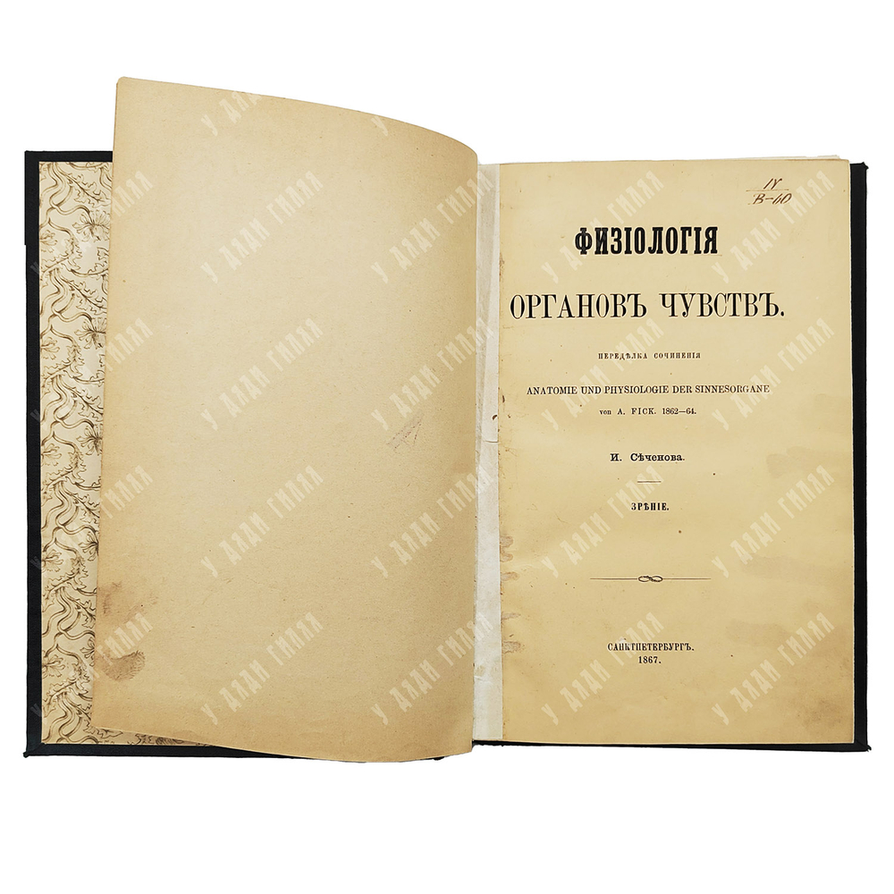 [Первое издание] Сеченов И. Физиология органов чувств: зрение, 1867