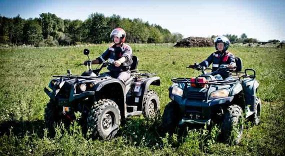 Квадроцикл BALTMOTORS Striker 700 EFI (ПСМ)