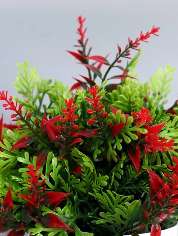 Бонсай в горшке &quot;Куфея пышная&quot; 10*20 см, микс