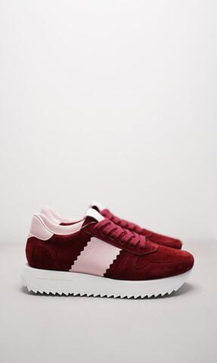 Кроссовки женские Kennel&Schmenger Flash