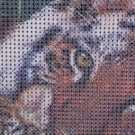 Алмазная мозаика на подрамнике с полным заполнением»МИР ЯРКИХ КРАСОК», тигры, 30*40см