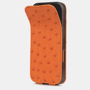 Кожаный чехол для iPhone 17 Pro Max, страус оранжевого цвета