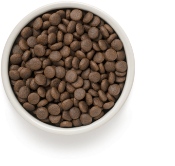 GRANDORF 4 вида мяса Для средних и крупных пород собак 10 кг