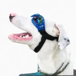 Очки «Cool Rider»