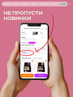 Корм сухой для взрослых собак породы Той-терьер, с говядиной, 800 гр, QUATTRO
