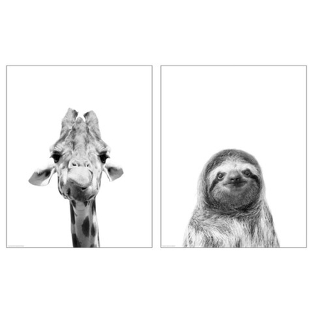 IKEA BILD  (ИКЕА БИЛД)  -  Плакат, Привет, друг, 40x50 см