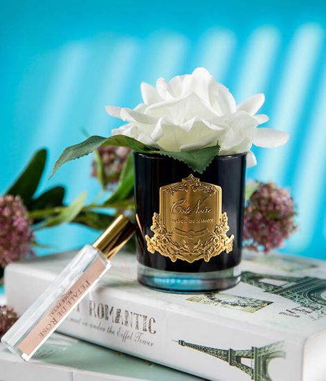 Роза цвета слоновая кость в черной вазе, Cote Noire