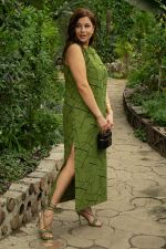 Платье Дария (лайм) П13480-1М LT Collection