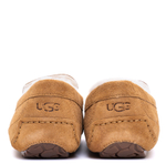 UGG Mens Ascot Chestnut