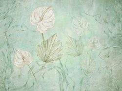 Коллекция SERENE