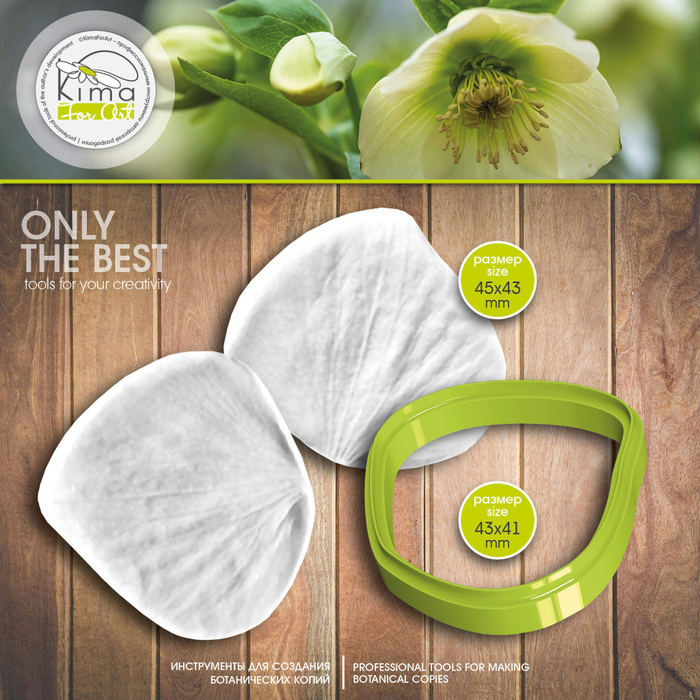 Морозник лепесток крупный