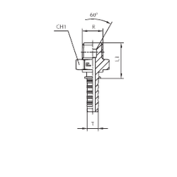 Фитинг DN 06 BSPT 1/8