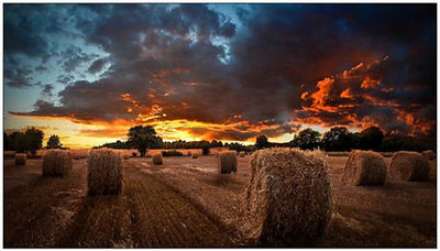 Панель LCD Samsung VM55B-U