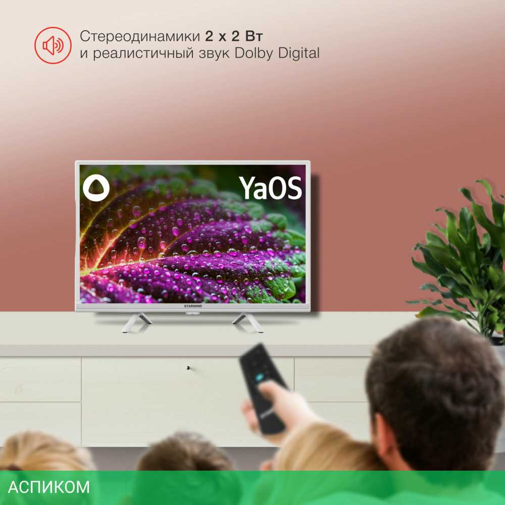 Телевизор LED Starwind 24" SW-LED24SG312