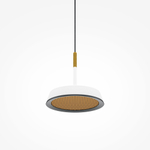 Подвесной светильник Maytoni MOD041PL-L15WG3K