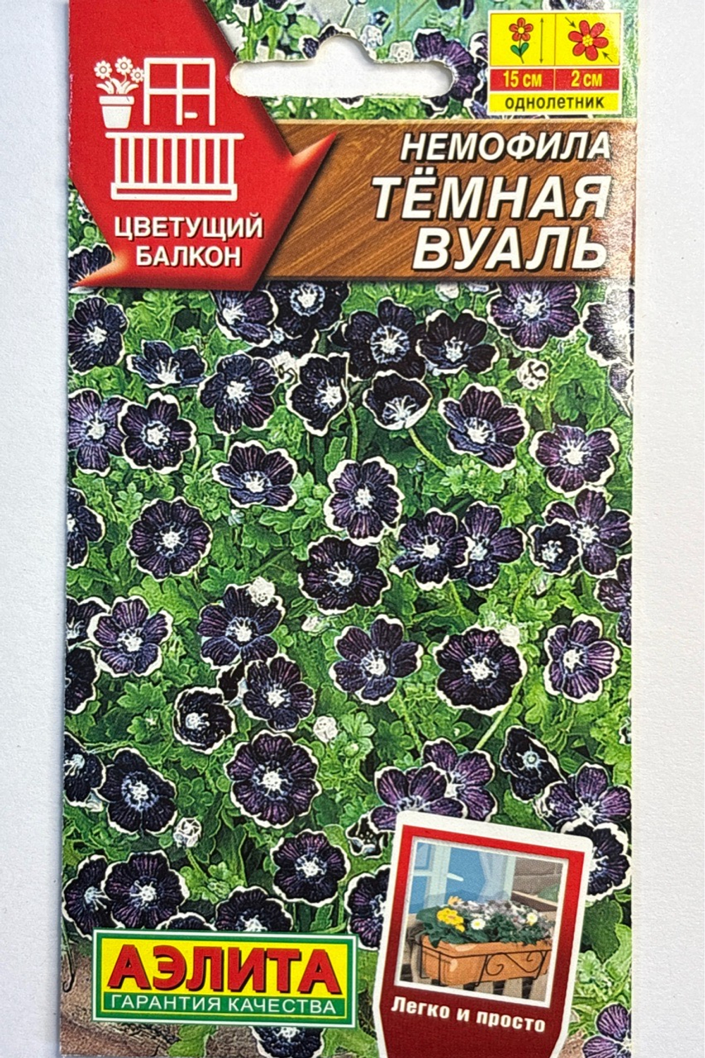 Немофила Темная вуаль СМЦ-804