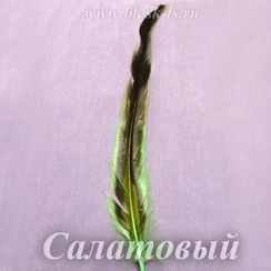 Перо петуха 25-30 см, Салатовый