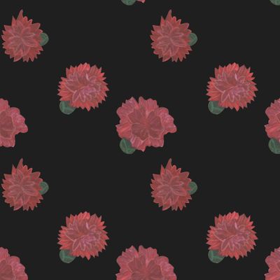 Гвоздики на черном фоне