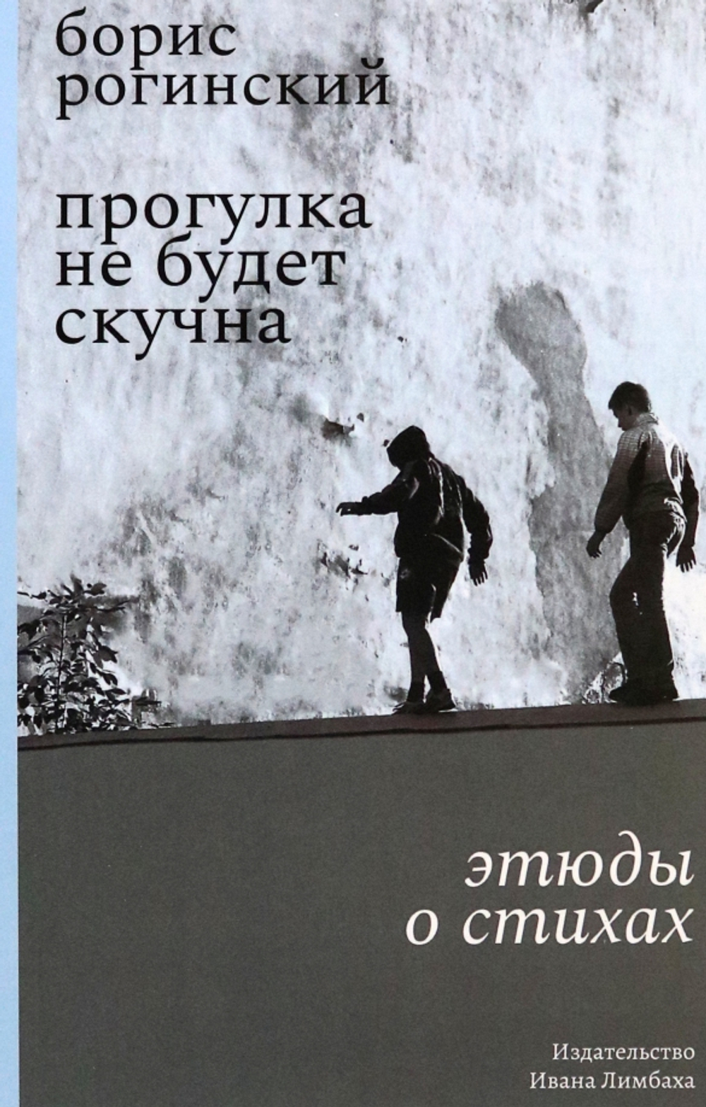 Прогулка не будет скучна: Этюды о стихах