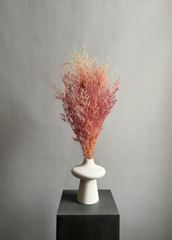 Кермек светло-розовый