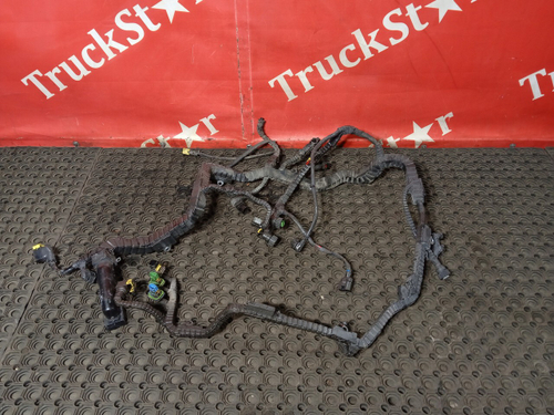 Проводка двигателя 2019г.