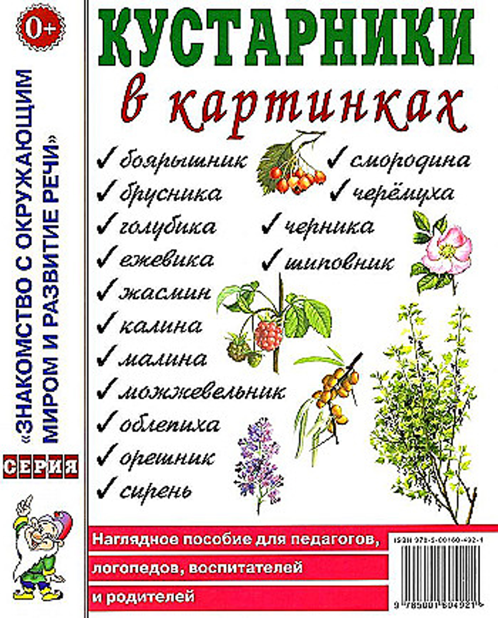 Р.Родин. Кустарники в картинках. Наглядное пособие для педагогов, логопедов, воспитателей и родителей. 0+