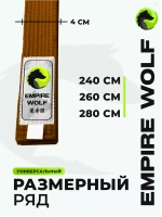 Коричневый пояс для единоборств 300
