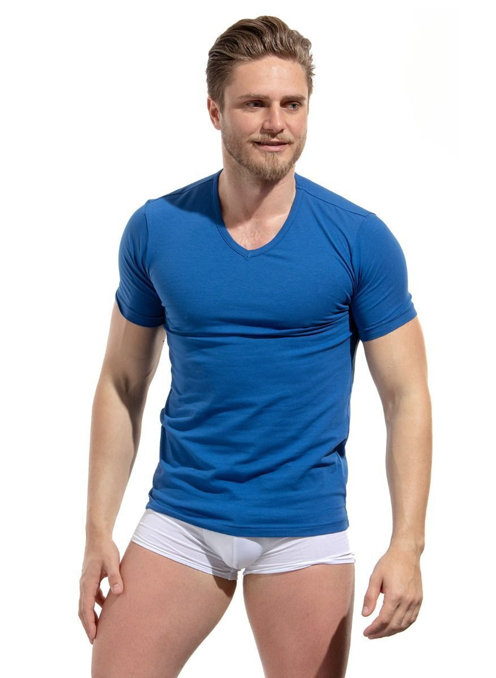 Мужская хлопковая футболка с V-образным вырезом горловины (Размер: M) (Цвет: серый меланж)