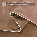 Комплект постельного белья Однотонный Сатин Премиум OCP015