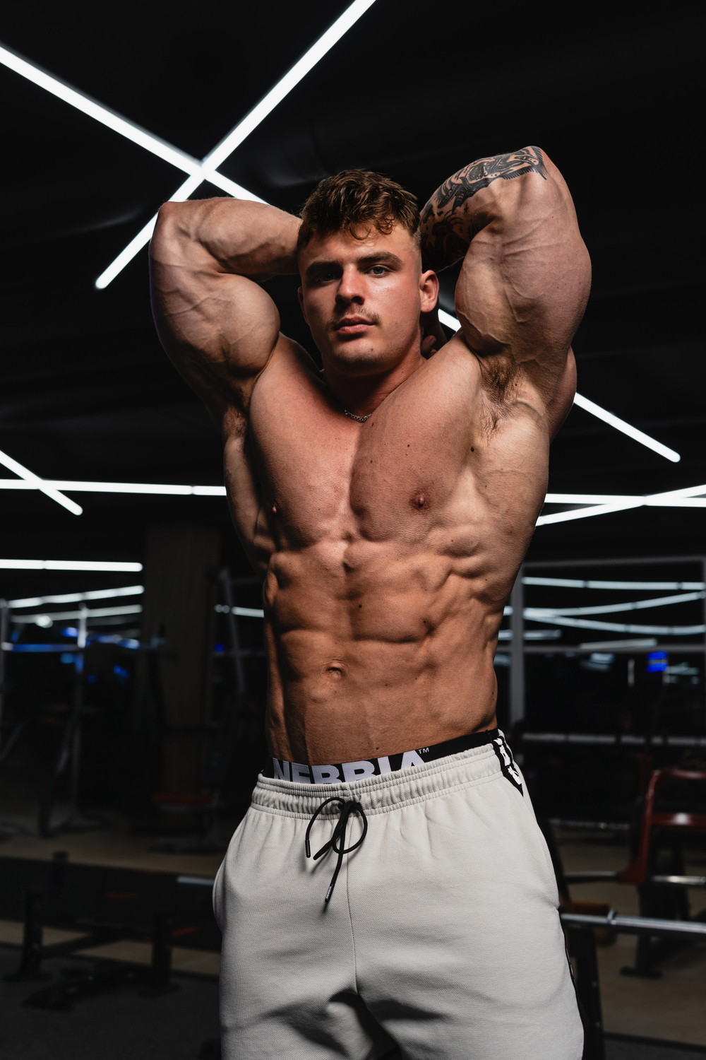 Шорты Training Shorts HERO 295 Серые