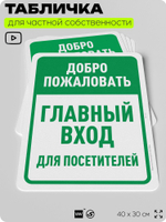 Табличка для частной территории "Добро пожаловать, главный вход", на дом, для участка, организаций и частных территорий, предупреждающая, 40х30 см, Silver Plane x Айдентика Технолоджи