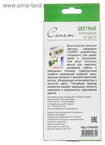 Карандаши цветные профессиональные "Сонет", 24 цвета, в картонной упаковке с европодвесом, 13141433