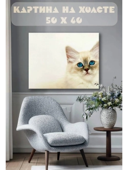 Картина на стену 40 X 50 Кот
