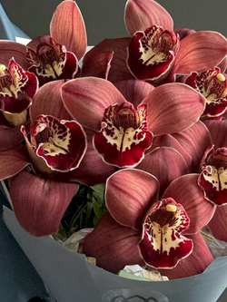 Букет «Экзотическая орхидея»