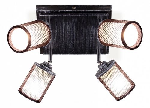 Спот Citilux CL535541
