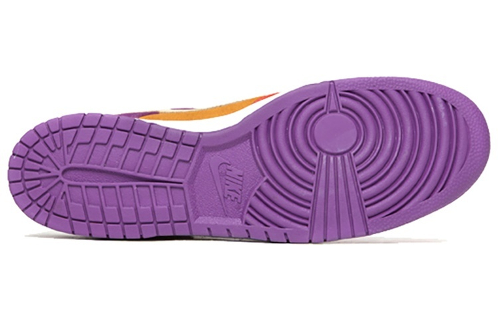 Кроссовки Nike Dunk Sb Viotech