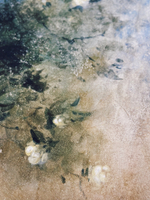 TRAVERTINE