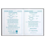 Дневник школьный 48л 1-4 класс "Гонки" (Феникс+)