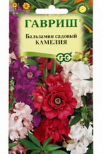 Бальзамин Камелия 0,1 г СМЦ-258